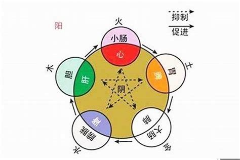 眼睛 五行|眼睛在五行中属什么 眼睛在五行属性